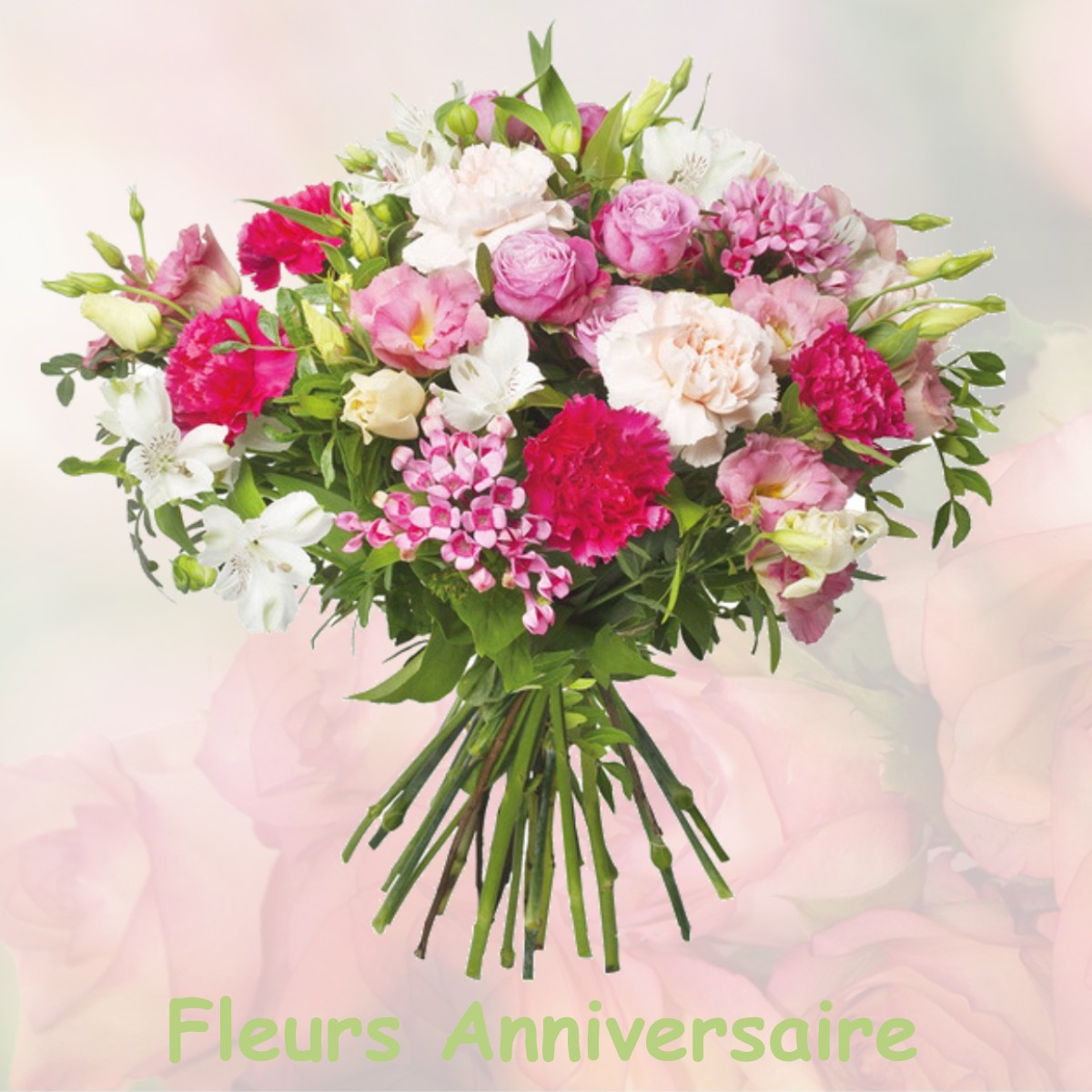fleurs anniversaire GOUDOURVILLE